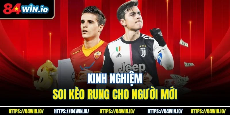 Kinh nghiệm soi kèo rung cho người mới